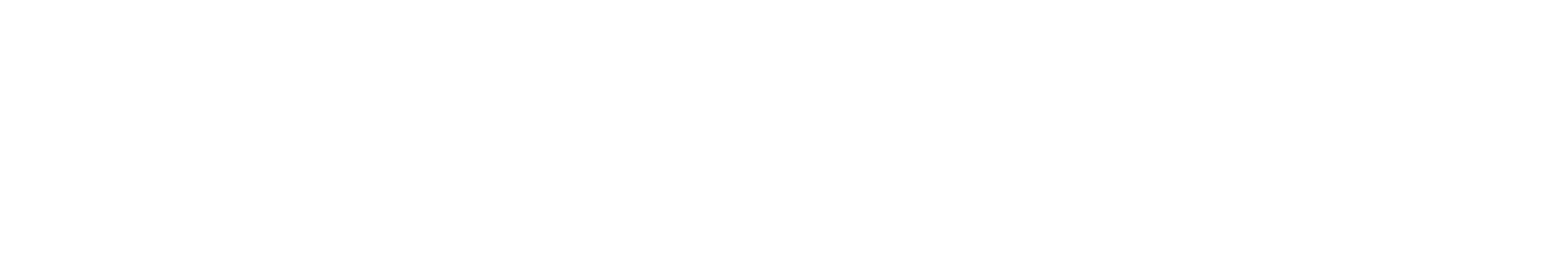 BitLinguist